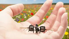 Ein Schwarm intelligenter Miniroboter: eine neue Vision für die Landwirtschaft. Wie können sie ihr helfen?