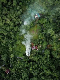 Luftaufnahme eines Hauses mitten im dichten Wald