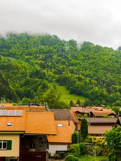 Häuser am Fuß eines üppig grünen Hügels in Österreich