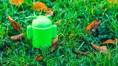 Grüner Android-Roboter auf Gras, Nahaufnahme